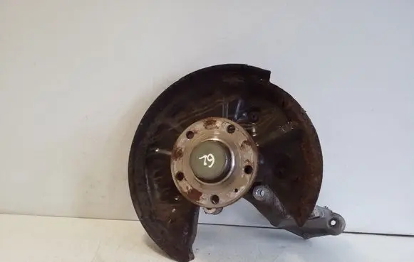 Volkswagen Tiguan Rear wheel hub