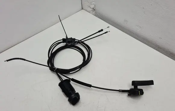 Dacia Sandero Other switches/knobs/shifts 251829774R