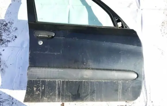 Citroen Xsara Picasso Front door pilka