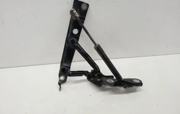 Dodge Challenger Engine bonnet/hood hinges 04589667AD 04589645AB