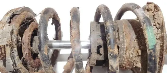 Front coil spring