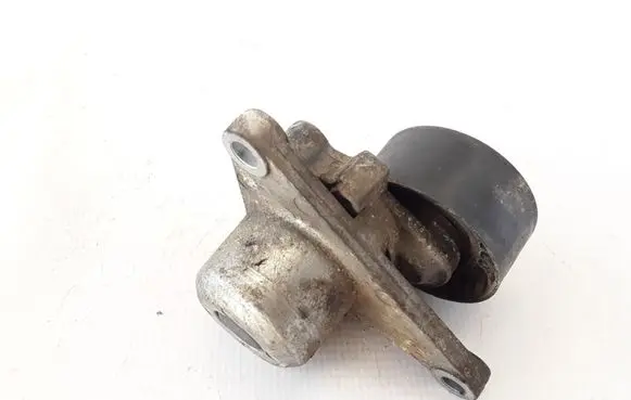 Renault Trafic II (X83) Alternator belt tensioner 