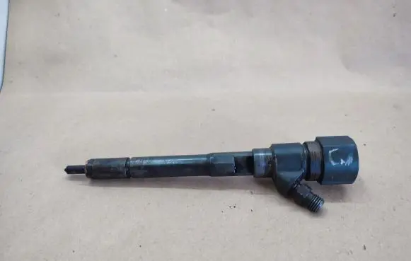 Hyundai Santa Fe Fuel injector 0445110254