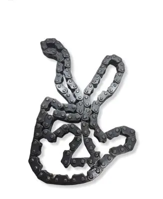 Chevrolet Camaro Timing chain (engine) 