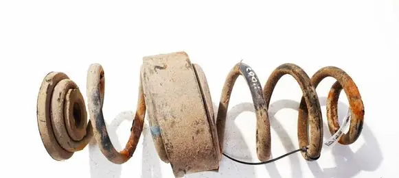 Volkswagen PASSAT B6 Rear coil spring 