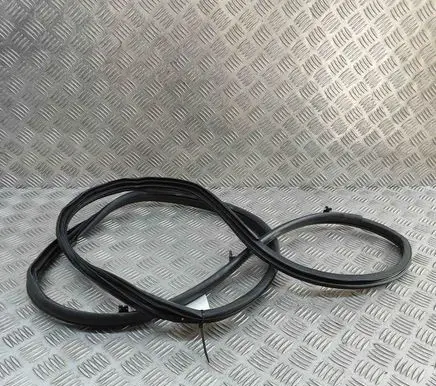 Nissan Ariya Rubber seal rear door 828305MP0A