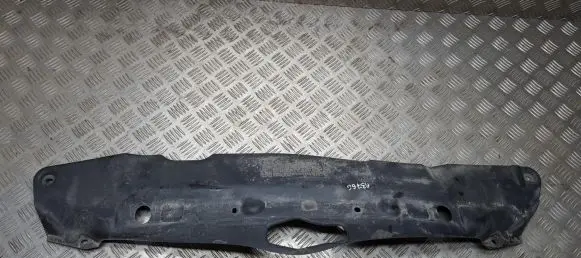 Engine bonnet/hood lock trim molding