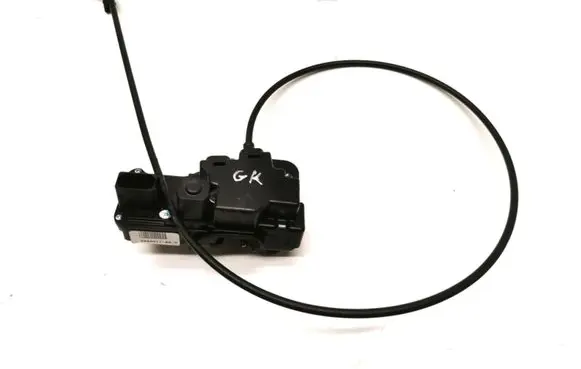 Tesla Model S Rear door lock 6008911-00-D