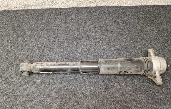 Cupra Born Rear shock absorber/damper 1EA512011AL