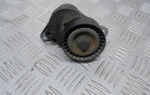 Renault Laguna III Alternator belt tensioner pulley 8200357406