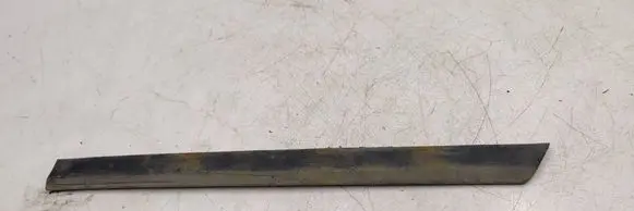 Volkswagen PASSAT B6 Rear door trim (molding) 3C0854949