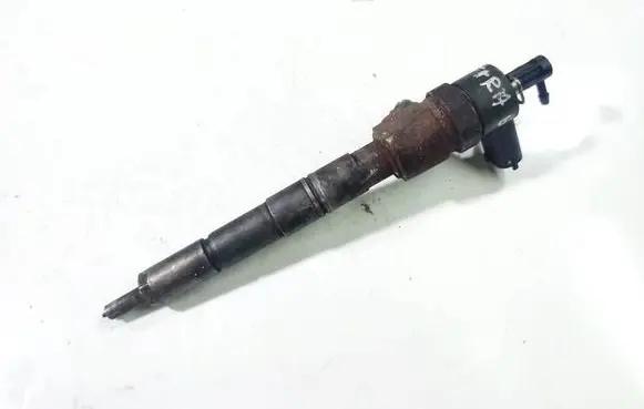 Citroen Berlingo Fuel injector 0445110 0445110076