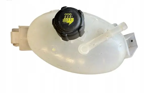 Renault Master III Coolant expansion tank/reservoir 217100015R