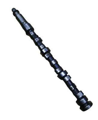 Chrysler 300 - 300C Camshaft 2924173541B 01D5