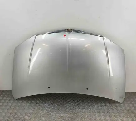 Chrysler Voyager Engine bonnet/hood 4894794AD
