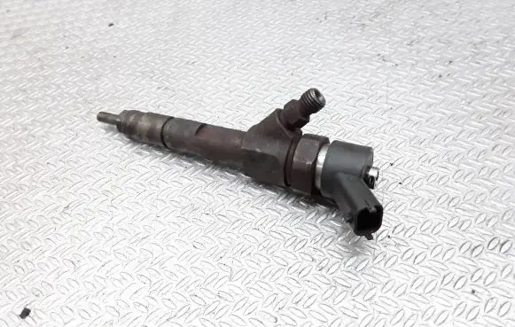 Renault Megane II Fuel injector 0445110110B