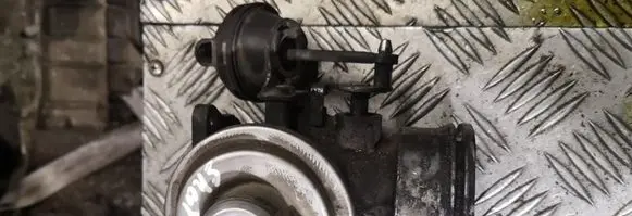 EGR valve