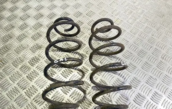 Rear coil spring