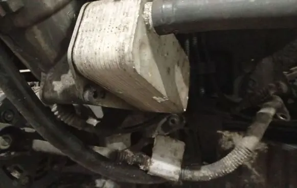 Rover 75 Engine oil radiator
