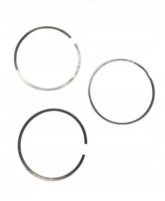 BMW 5 F10 F11 Piston ring 7812627