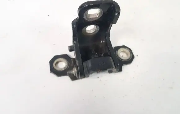 Renault Laguna III Rear door lower hinge