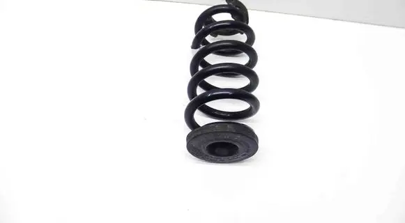 Cupra Born Rear coil spring 1EA511103Q