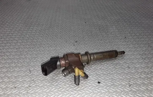 Citroen Berlingo Fuel injector 9652173780