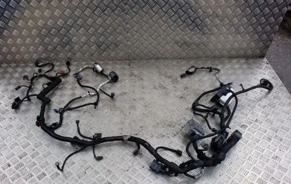 Engine installation wiring loom