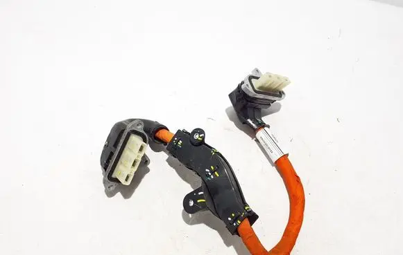 Ford Mach-E I Other wiring loom LJ9814B245AD
