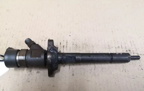 Ford Focus C-MAX Fuel injector 0445110259