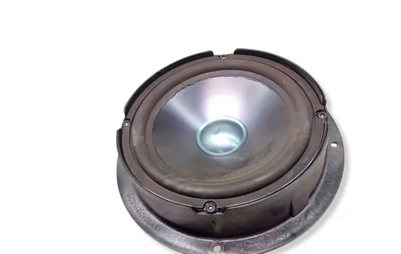 Mercedes-Benz R W251 Front door speaker A2518200202