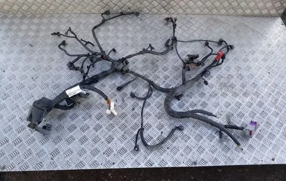 Nissan Qashqai Engine installation wiring loom 24011BB50A