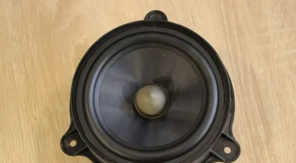 Renault Laguna III Front door speaker