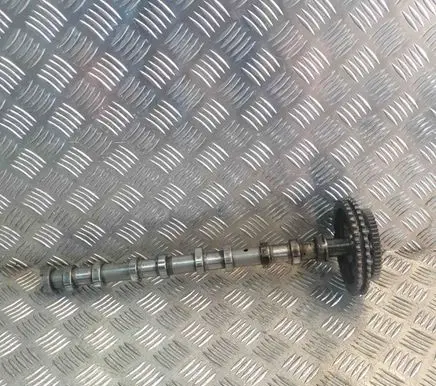 Land Rover Range Rover Sport L494 Camshaft AL3Q6A271DD