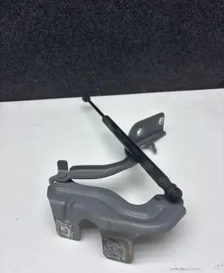 Nissan Murano Z51 Engine bonnet/hood hinges 1AAL