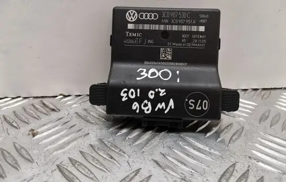 Volkswagen PASSAT B6 Gateway control module 3C0907530C