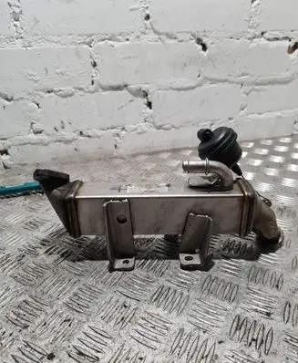 Renault Laguna III EGR valve cooler