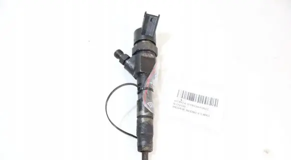 Renault Megane II Fuel injector 0445110110B