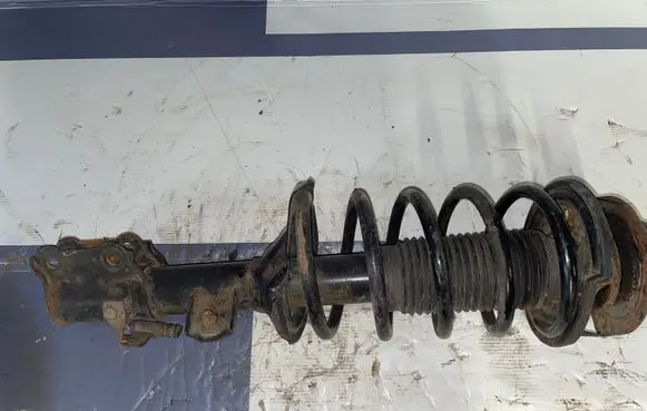 Hyundai Getz Front shock absorber with coil spring