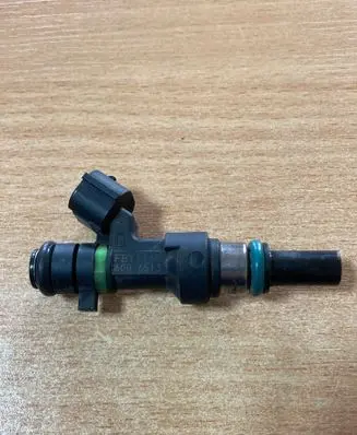 Nissan Note (E11) Fuel injector FBY1160 6006513