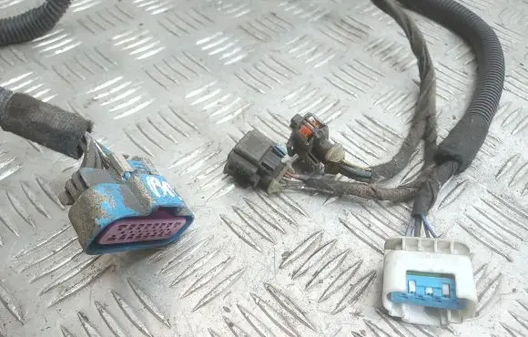 Opel Insignia A Other wiring loom 22790587