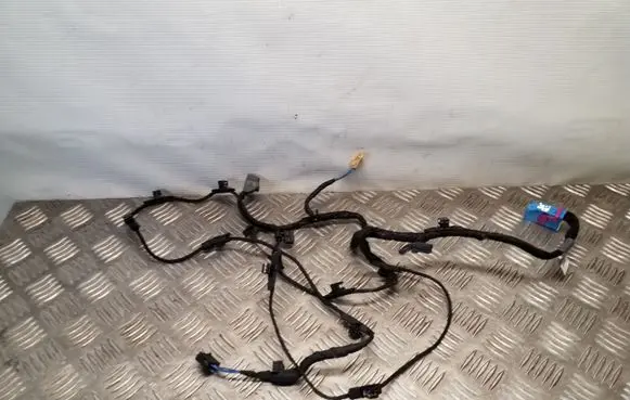 Audi Q5 SQ5 Front door wiring loom 8R0971035AD