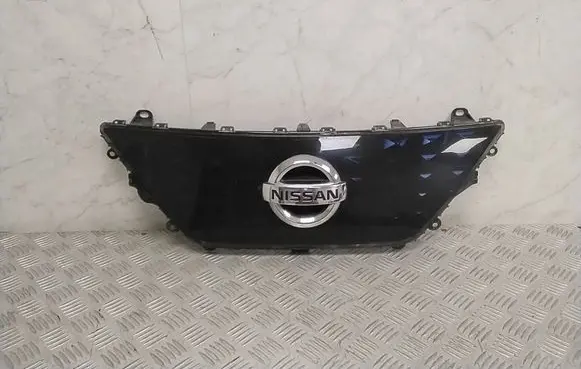 Nissan Leaf II (ZE1) Front grill 620725SK0D
