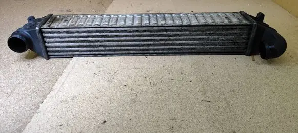 Volkswagen Sharan Intercooler radiator 7M3145805 1710078