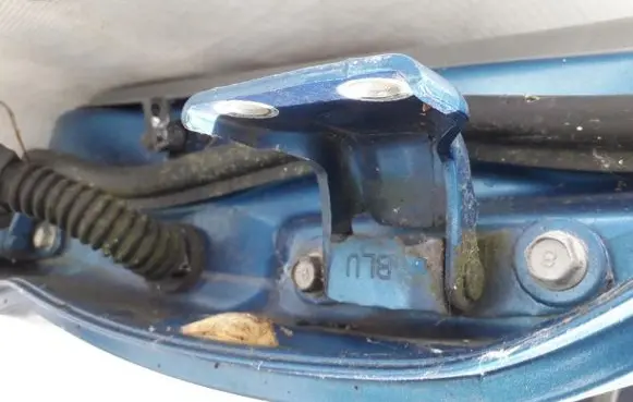 Rear door lower hinge