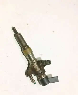 Citroen C4 Grand Picasso Fuel injector 9674973080