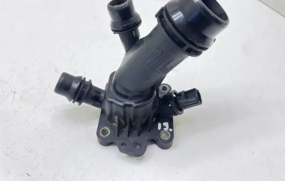 Thermostat/thermostat housing