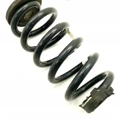 Volkswagen ID.4 Rear coil spring 1EA511103H
