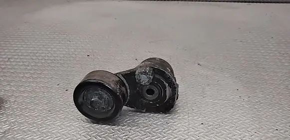 Chevrolet Cruze Generator/alternator belt tensioner 55563512