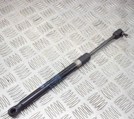 Front bonnet/hood damper/strut